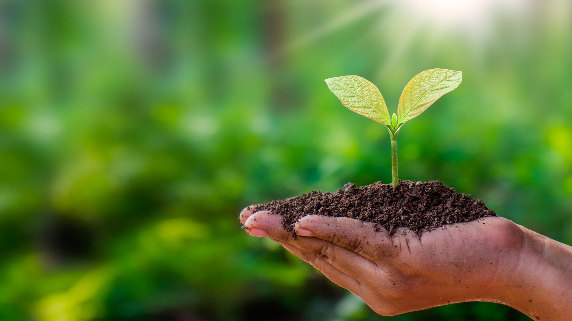 action positive pour la planète